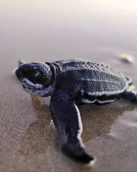 Destinations In Sri Lanka