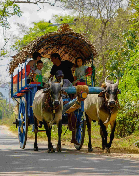 Things To Do in Sri Lanka