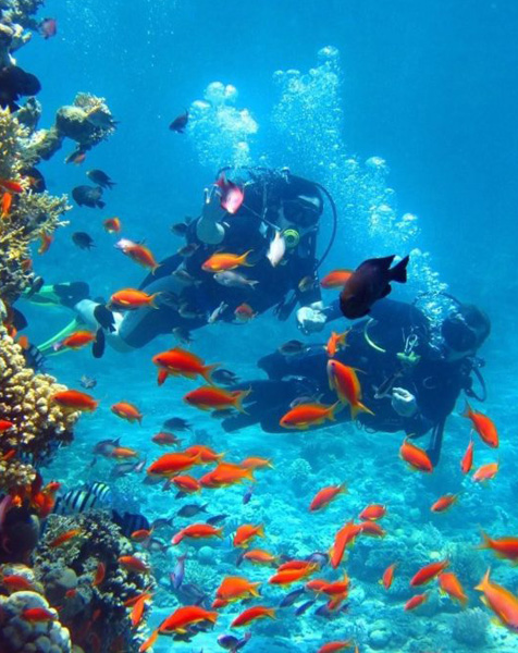 Things To Do in Sri Lanka