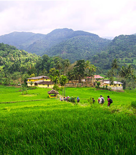 Ceylon Majestic Tours