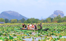 Ceylon Majestic Tours