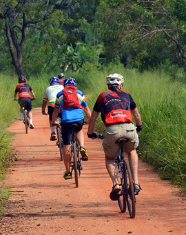 Ceylon Majestic Tours
