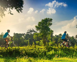 Ceylon Majestic Tours