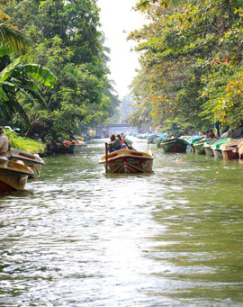Ceylon Majestic Tours