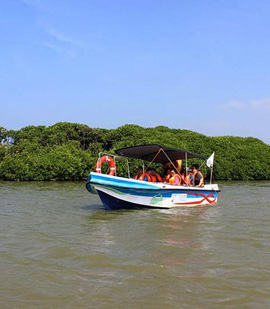 Ceylon Majestic Tours