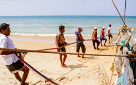Ceylon Majestic Tours